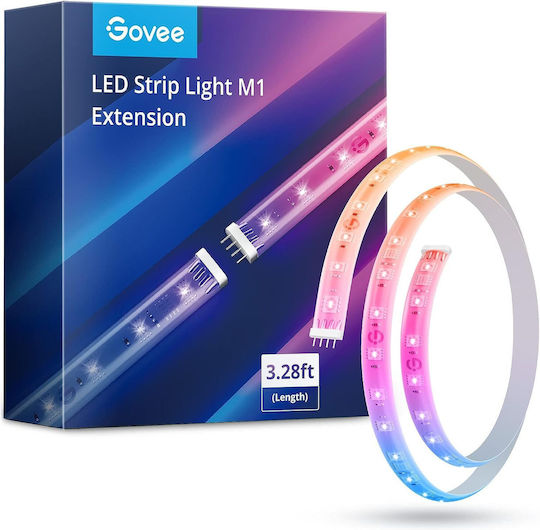 Govee Smart Ταινία LED Wi-Fi 24V RGB Φως 1m H100E0D1