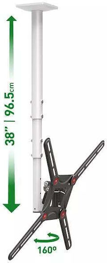 Barkan 3500.W Βάση Τηλεόρασης Τοίχου με Βραχίονα έως 65" και 40kg Λευκό