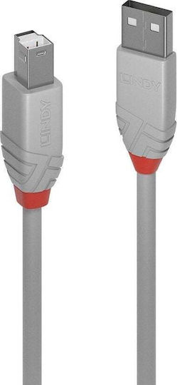 Lindy USB 2.0 Cable USB-A male - USB-B male Γκρι 3m 36684