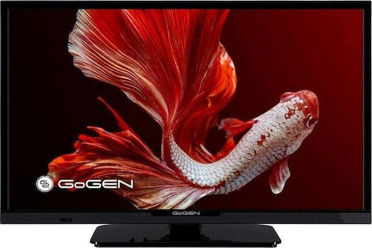 GoGEN Τηλεόραση 24" HD Ready LED TVH24P352T (2023)