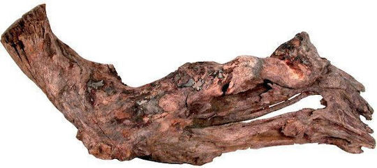 Zolux Διακοσμητικό Ξύλο Ενυδρείου 42165