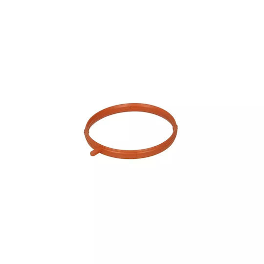 Intake Manifold Gasket Set Bmw 3 Series Coupe E46 316 Ci 2000-2006 Corteco 450567h