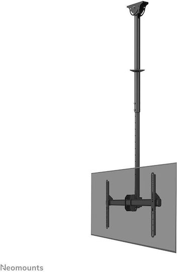 Βάση Τηλεόρασης Neomounts Cl35-440bl16l 177,8 Εκ 70" Μαύρο