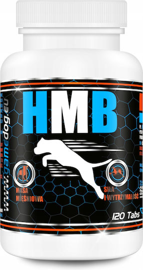 Game Dog Πολυβιταμίνες Σκύλου σε Δισκία για Ενέργεια & Τόνωση zooart-46931-0