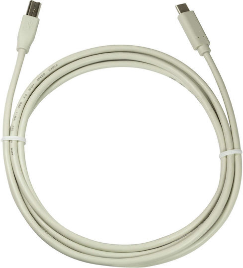 LogiLink USB 2.0 Cable USB-C male - USB-B Λευκό 2m CU0161