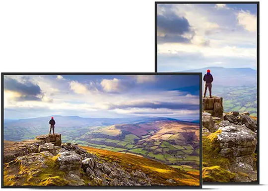 Sharp S55306081 Public Display 43"