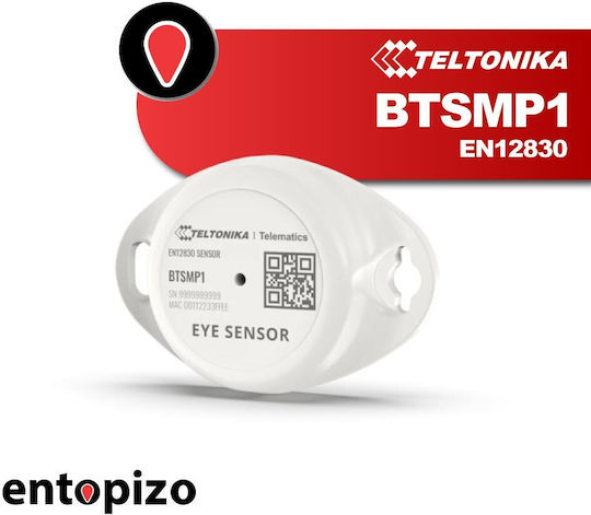 Temperature Sensor Teltonika Btsmp1 En12830