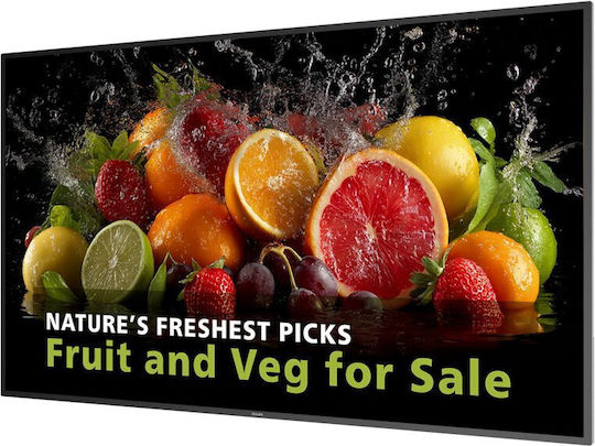 Philips Dline Public Display ADS / LED 65"