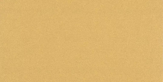 Bosch Expert Γυαλόχαρτο 115x230mm