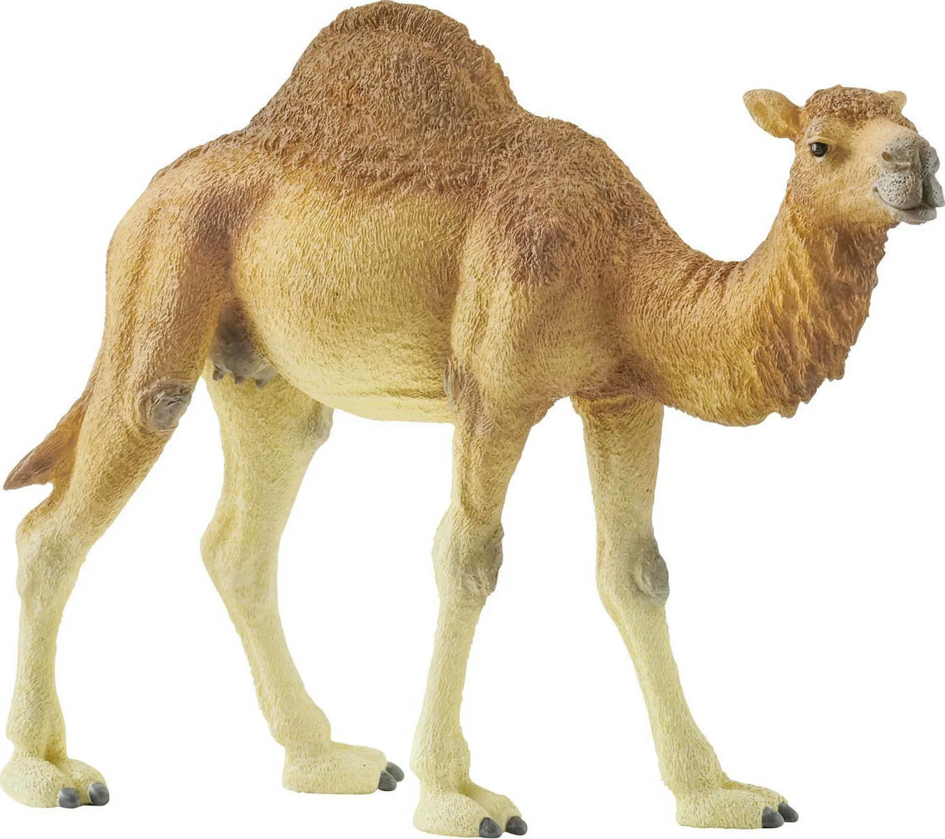 20210216131514_schleich_s_kamila_dromeas_14832 Schleich-S Καμήλα Δρομέας 4εκ. 14832 - Image 1