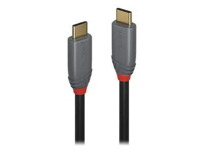 Lindy Anthra Line USB 2.0 Cable USB-C male - USB-C 100W Μαύρο 1.5m (36902)
