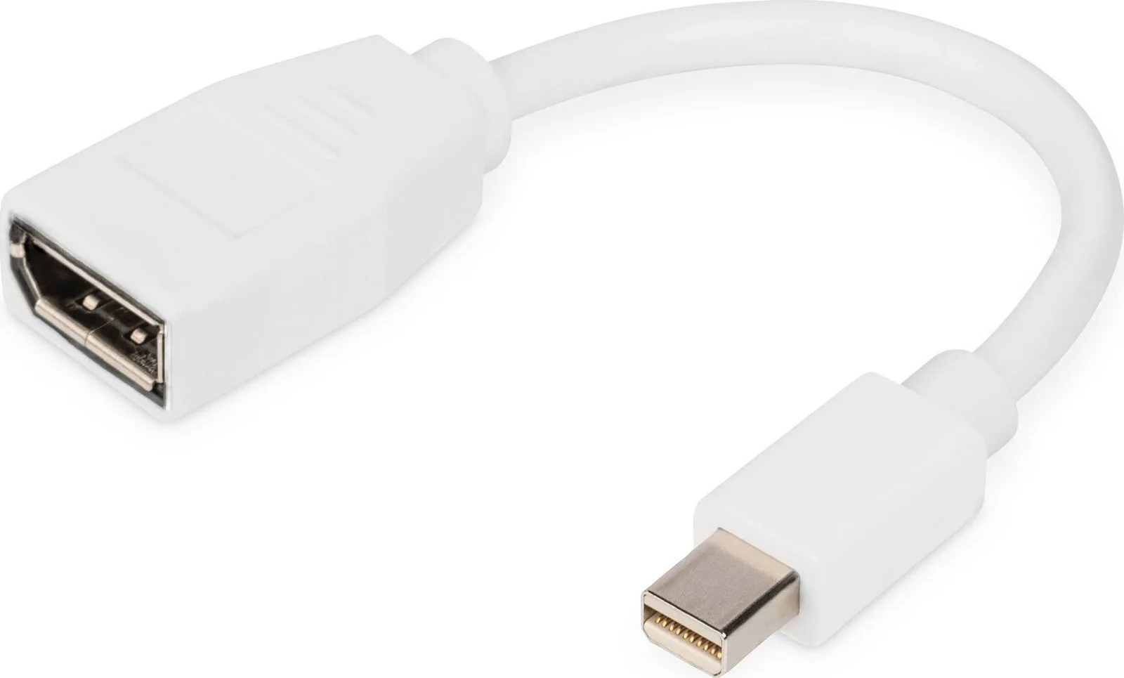 20250311112013_digitus_metatropeas_mini_displayport_male_se_displayport_female_1tmch_db_340405_001_w Digitus Μετατροπέας mini DisplayPort male σε DisplayPort female Λευκό 1τμχ DB-340405-001-W - Image 1