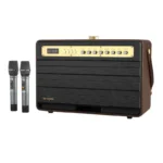 W-King Ηχείο Karaoke με Ασύρματα Μικρόφωνα K6L Καφέ