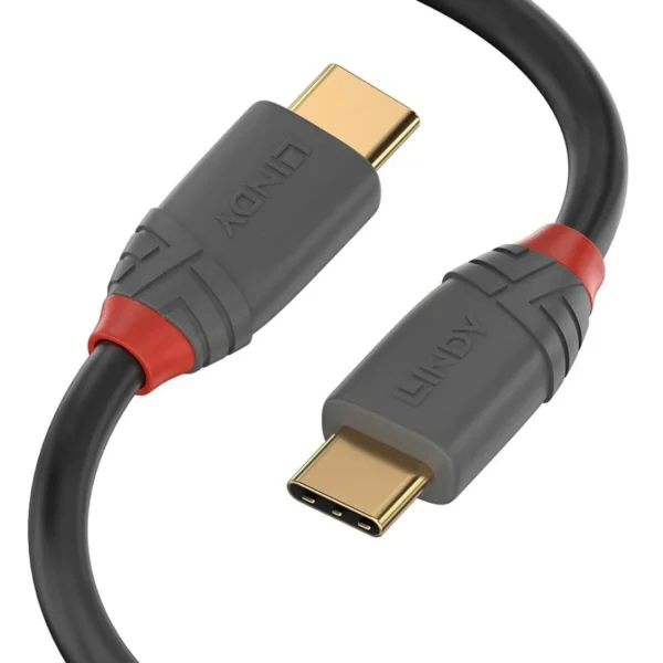 Lindy Anthra USB 2.0 Cable USB-C male - USB-C Μαύρο 2m 36872