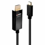 Lindy Cable HDMI male - USB-C male 2m Μαύρο 43292
