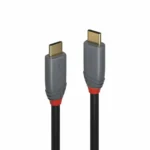 Lindy USB 3.2 Cable USB-C male - USB-C 100W PD Μαύρο 2m 36903