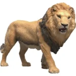 Schleich-S Wild Life African Lion Toy 14974
