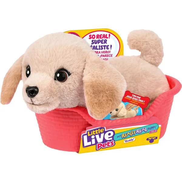 20260507145201_moose_toys_loutrino_skylaki_little_live_pets_my_26650.jpeg Moose Toys Λούτρινο Σκυλάκι Little Live Pets My 26650 - Image 1