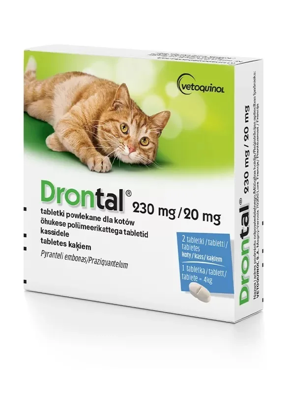 20260527121526_vetoquinol_polyvitamines_skylou_kai_gatas_se_diskia_gia_enischysi_organismou.jpeg Vetoquinol Συμπλήρωμα Διατροφής Γάτας για Γαστρεντερικές Διαταραχές - Image 1