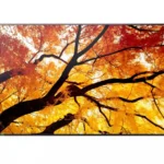 Sharp Public Display 65"