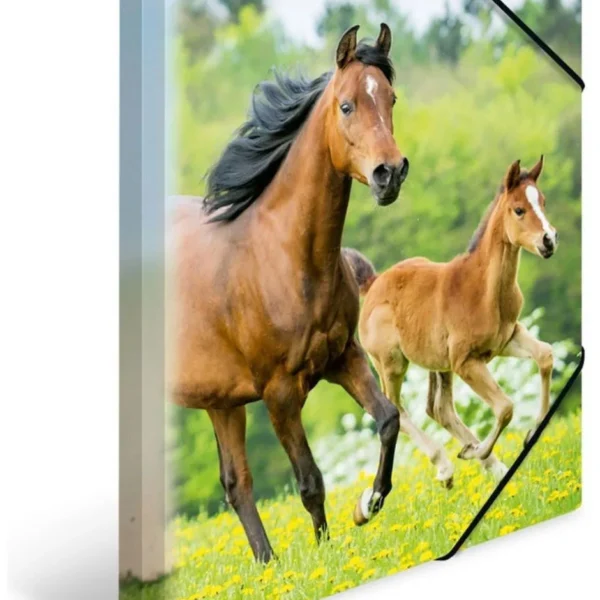 Ντοσιέ Λάστιχο Pp Herma A4 Horses 7140