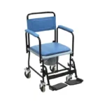 Folding Sanitary Toilet Wheelchair