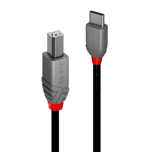 Lindy USB 2.0 Cable USB-C male - USB-B Μαύρο 2m 36942