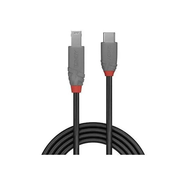 Lindy USB 3.2 Cable USB-C male - USB-B Μαύρο 2m 36667
