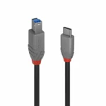 Lindy USB 3.2 Cable USB-C male - USB-B Μαύρο 3m 36668